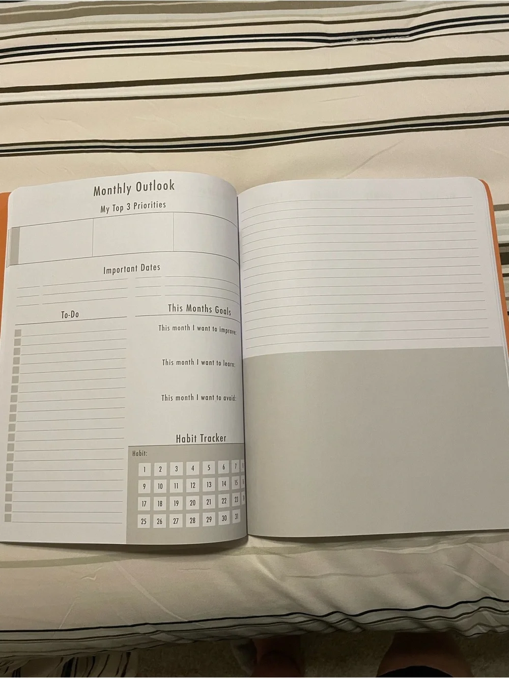 Brand new Planner Plans thoughts big ideas beautiful 3 birds planner NEW
